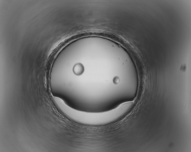 X0000115691262200912031434