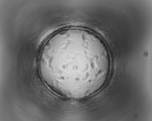 X0000115691263200912031434