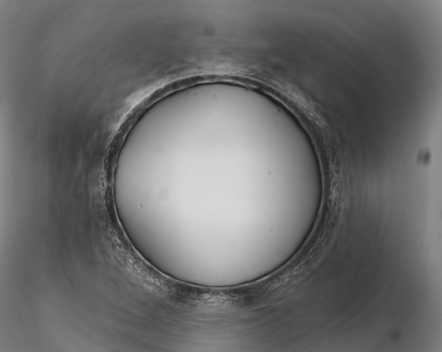 X0000115691264200912031434