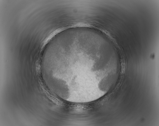 X0000115691266200912031434