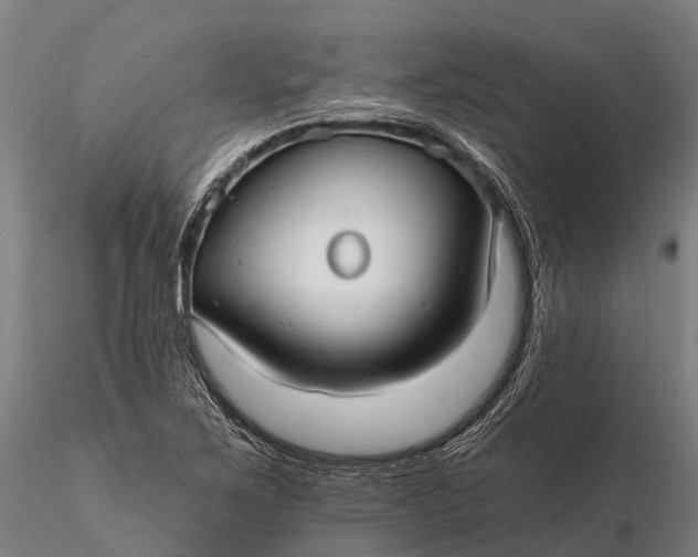 X0000115691267200912031434