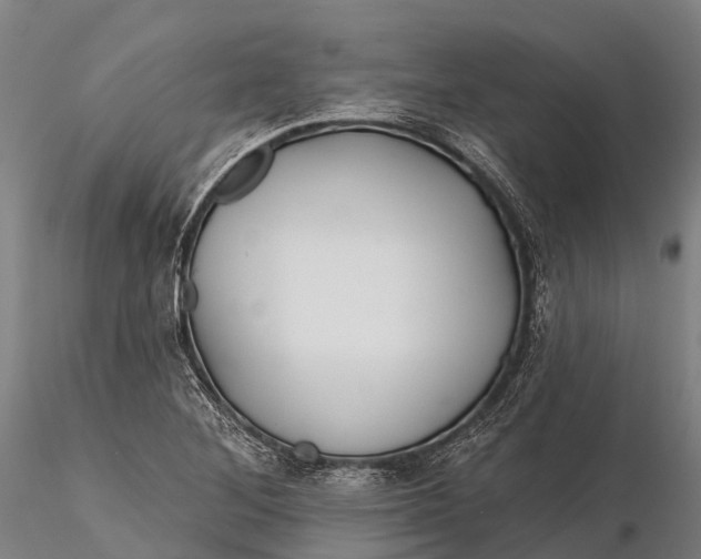 X0000115691268200912031434