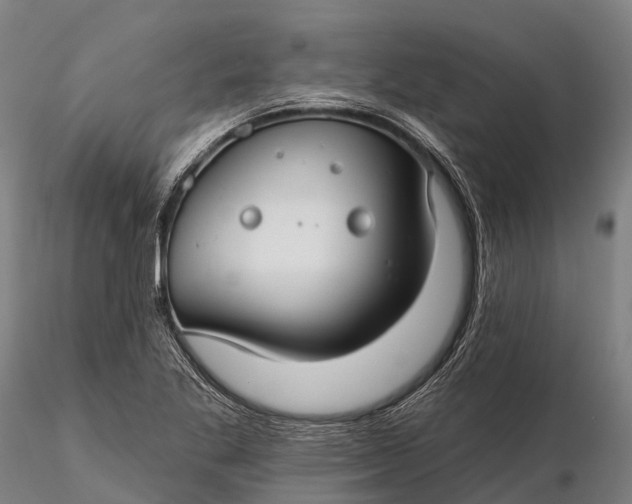 X0000115691269200912031434