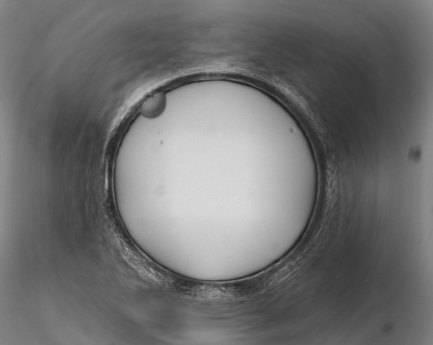 X0000115691270200912031434