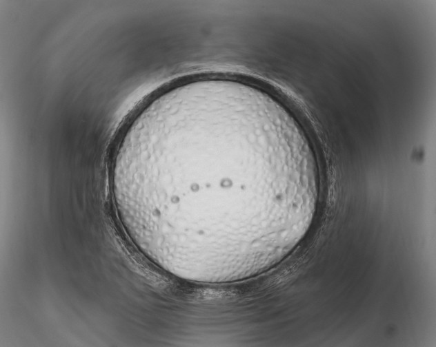 X0000115691271200912031434