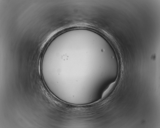 X0000115691272200912031434