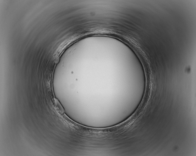 X0000115691273200912031434