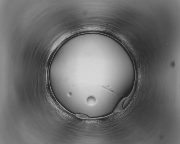 X0000115691274200912031434