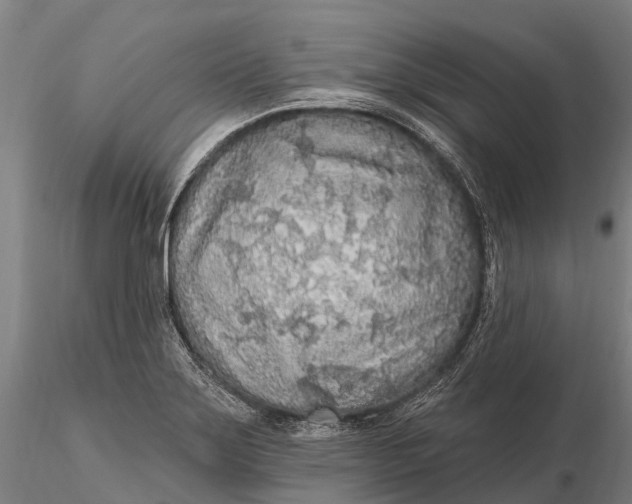 X0000115691275200912031434