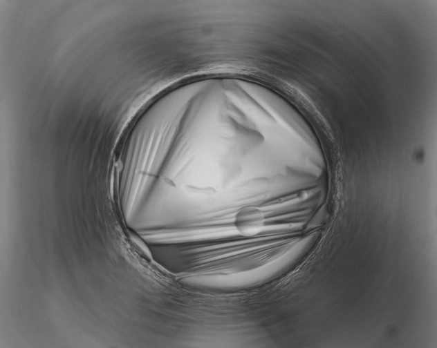 X0000115691276200912031434