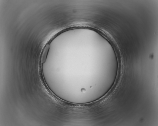 X0000115691277200912031434