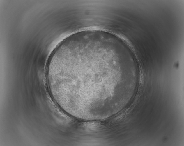 X0000115691278200912031434