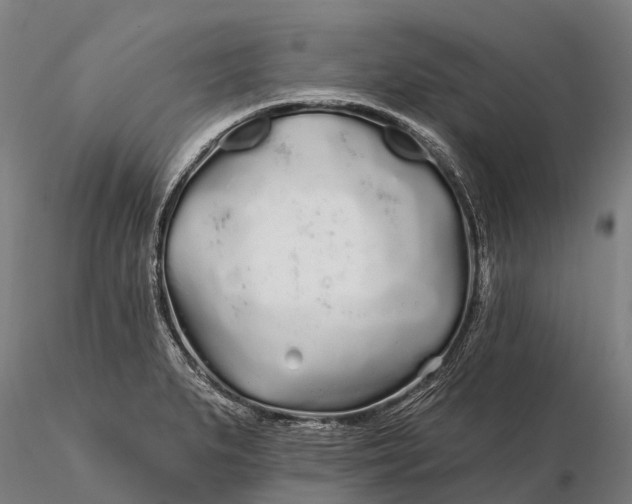 X0000115691279200912031434