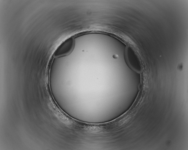 X0000115691280200912031434