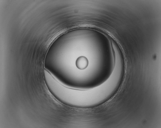 X0000115691281200912031434