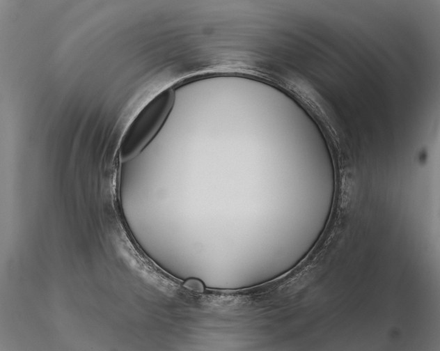 X0000115691284200912031434