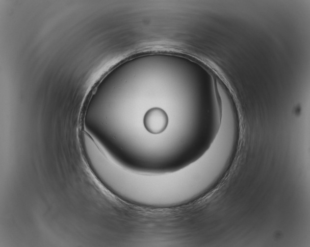 X0000115691285200912031434