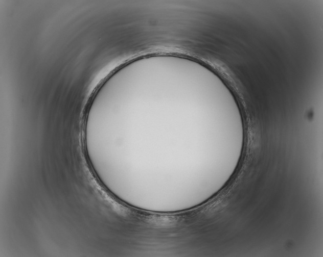 X0000115691286200912031434