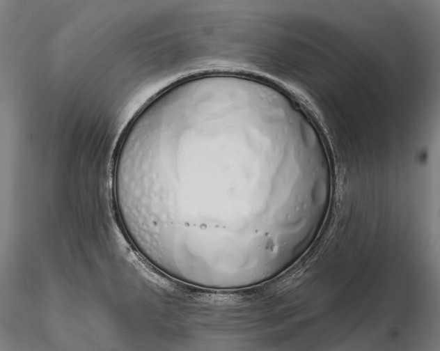 X0000115691287200912031434