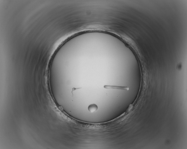 X0000115691288200912031434