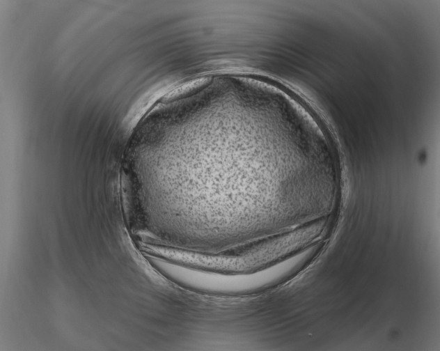 X0000115691289200912031434