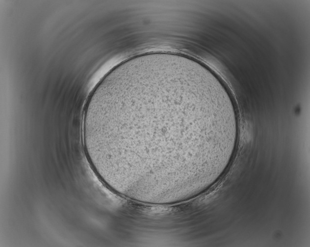 X0000115691290200912031434