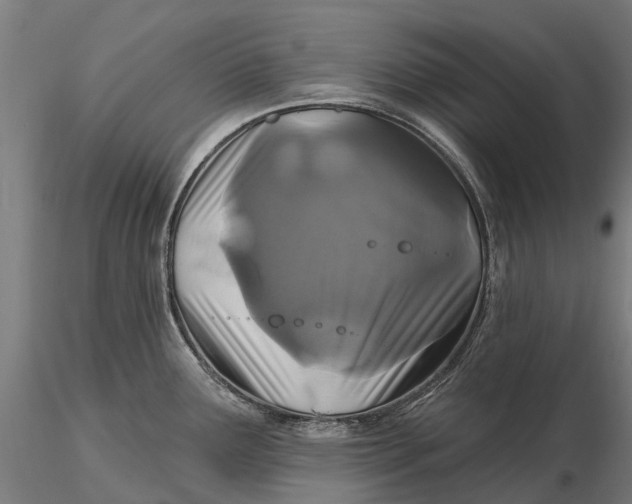 X0000115691291200912031434