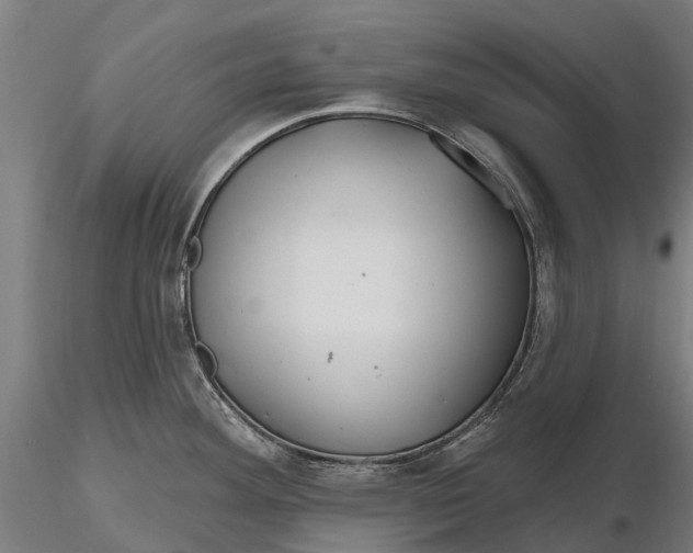 X0000115691292200912031434