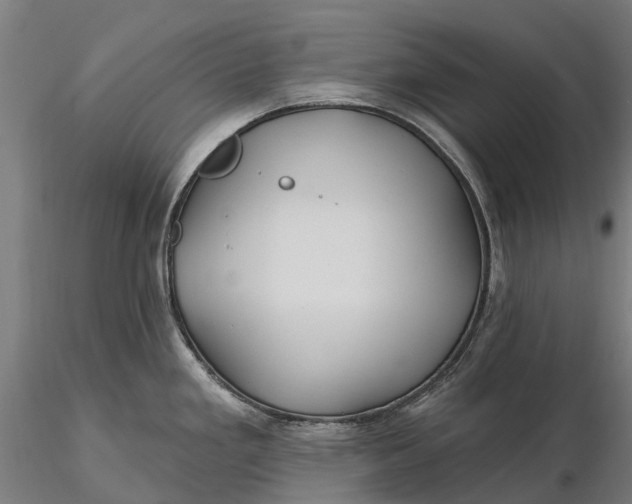 X0000115691293200912031434