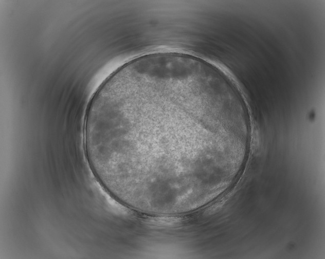 X0000115691294200912031434