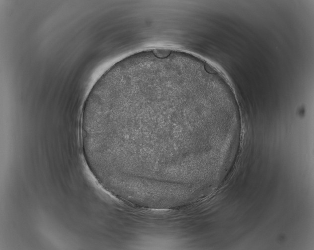 X0000115691295200912031434