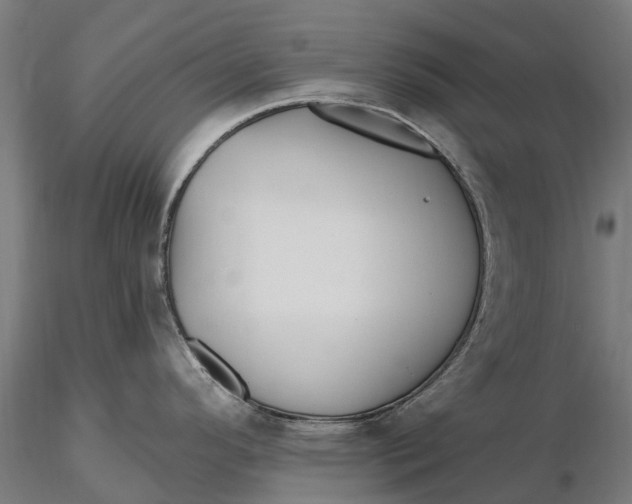 X0000115691296200912031434