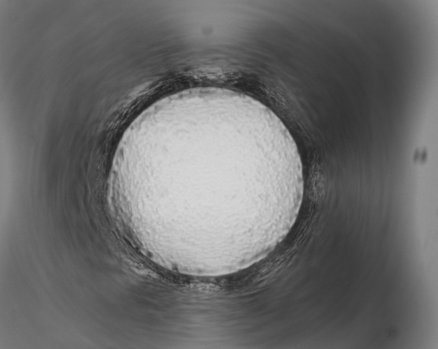 X0000115691297200912031433