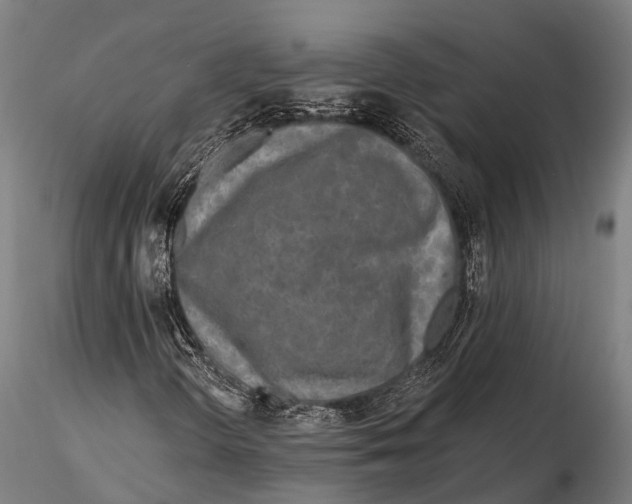 X0000115691298200912031433