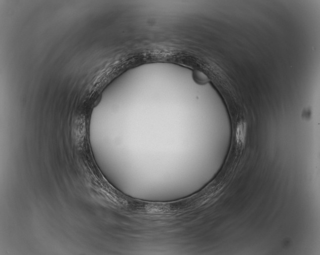 X0000115691299200912031433