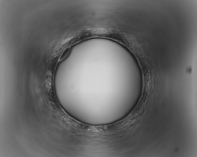 X0000115691301200912031433