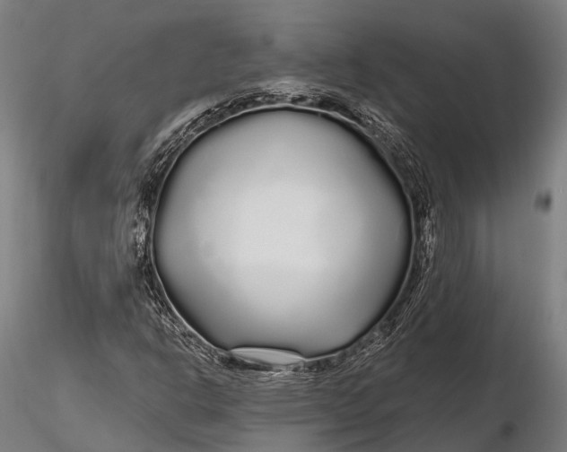 X0000115691302200912031433