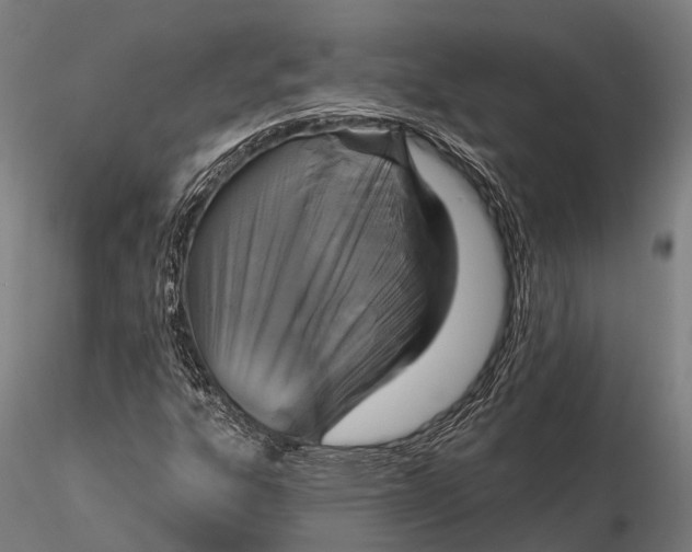 X0000115691303200912031433