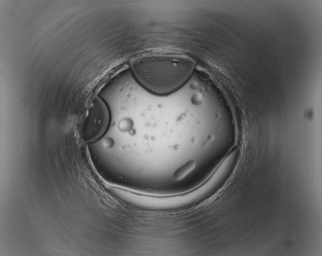 X0000115691305200912031433