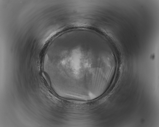 X0000115691306200912031433