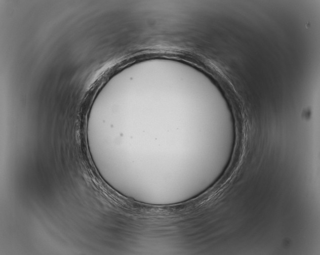 X0000115691307200912031433