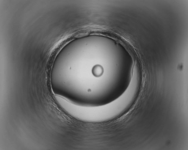 X0000115691309200912031433