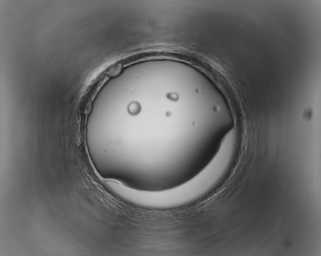 X0000115691310200912031433