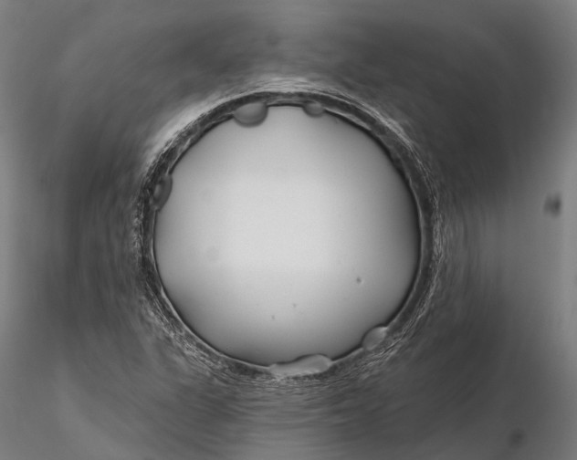 X0000115691311200912031433