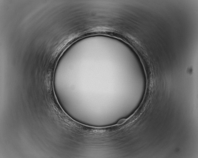 X0000115691313200912031433