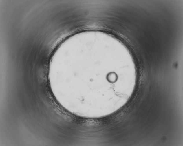 X0000115691314200912031433