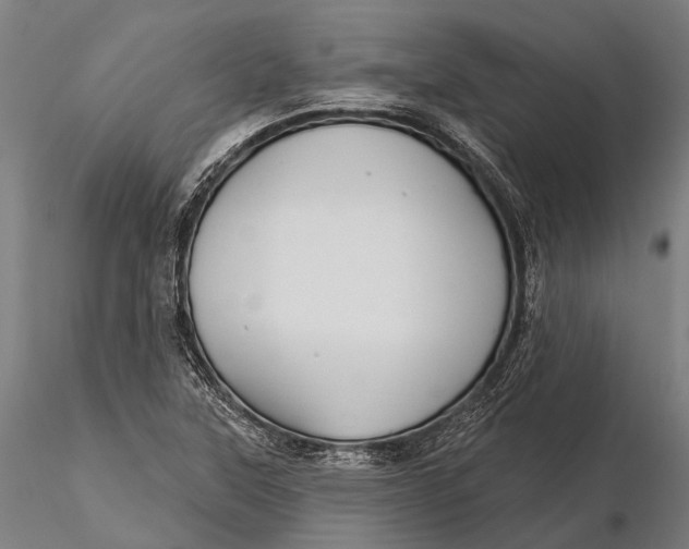 X0000115691315200912031433