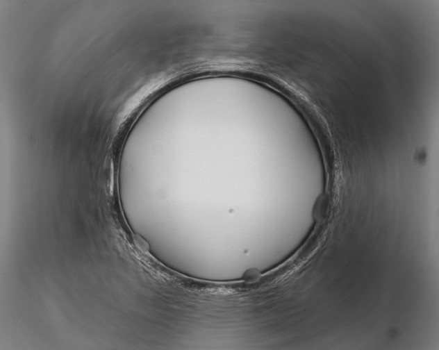 X0000115691317200912031433