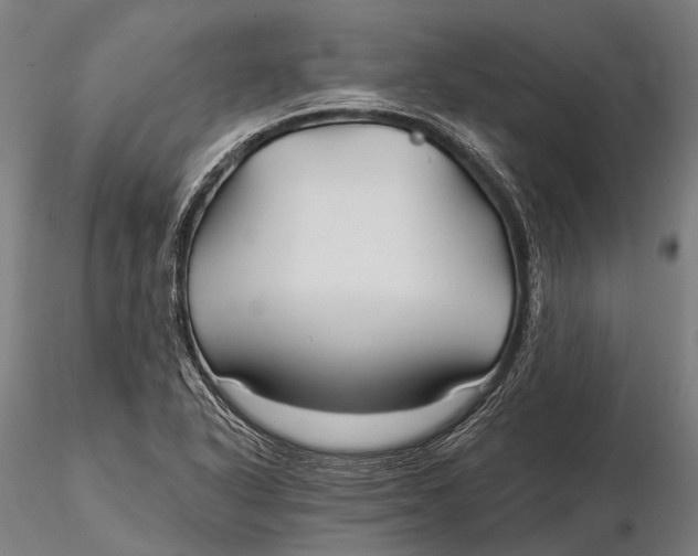 X0000115691318200912031433