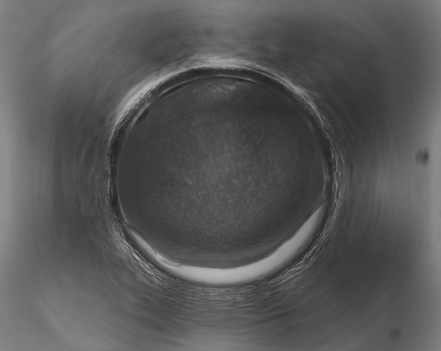 X0000115691319200912031433